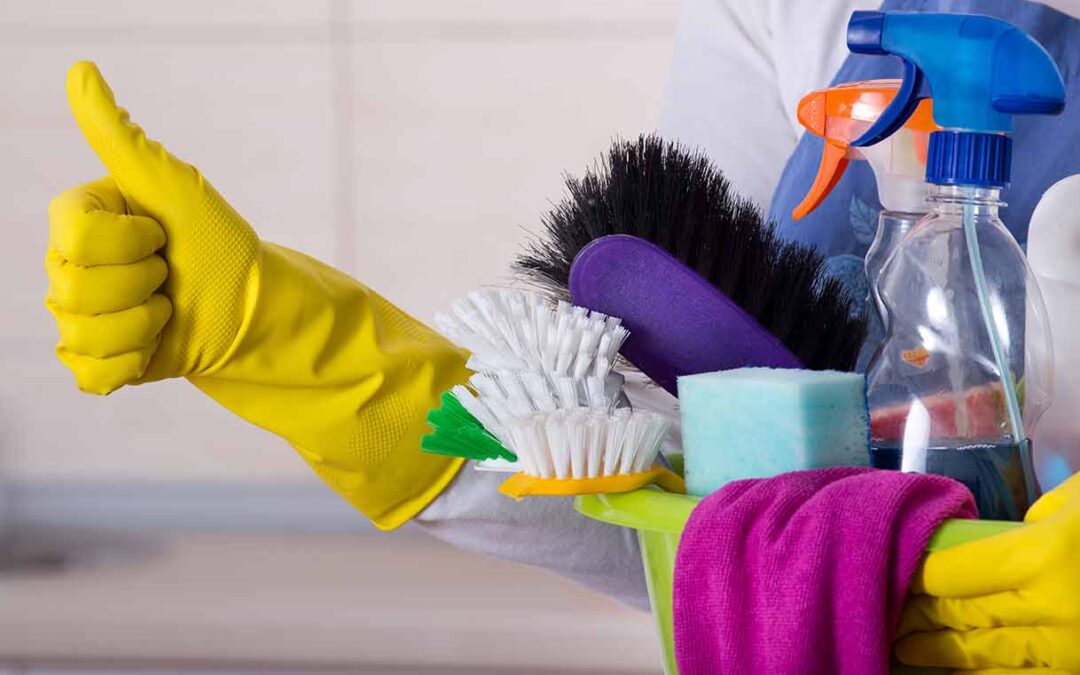 Dust Bunnies — Why Are We Called Dust Bunnies?