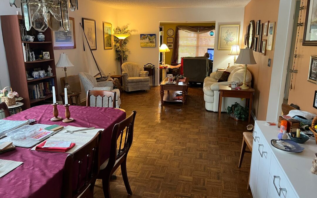 New Year 2026 Goals |Dust Bunnies