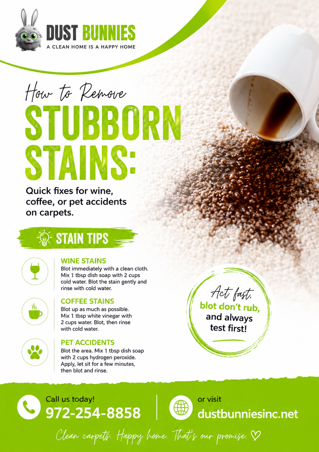 DUST FLYER How to Remove Stubborn Stains Quick fixes for wine coffee or pet accidents on carpets