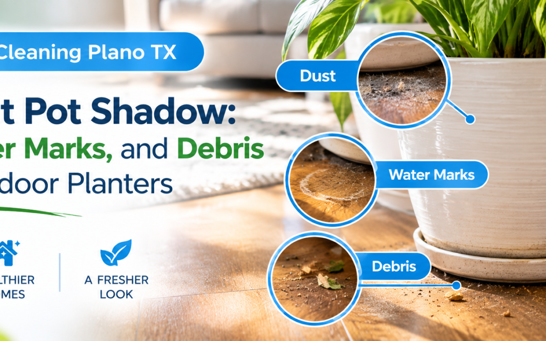 House Cleaning Plano TX: Plant Pot Shadow & Hidden Dirt